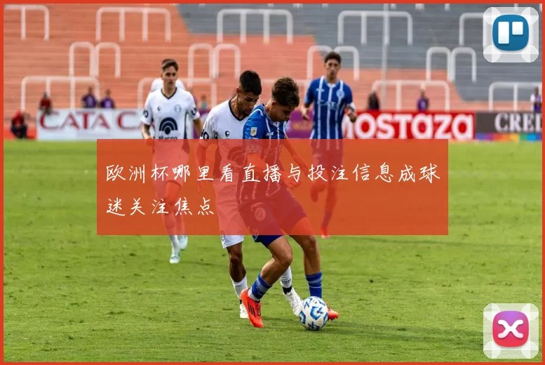 欧洲杯哪里看直播与投注信息成球迷关注焦点