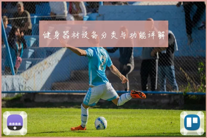 健身器材设备分类与功能详解