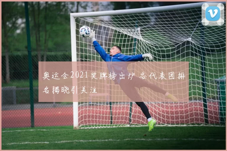 奥运会2021奖牌榜出炉 各代表团排名揭晓引关注