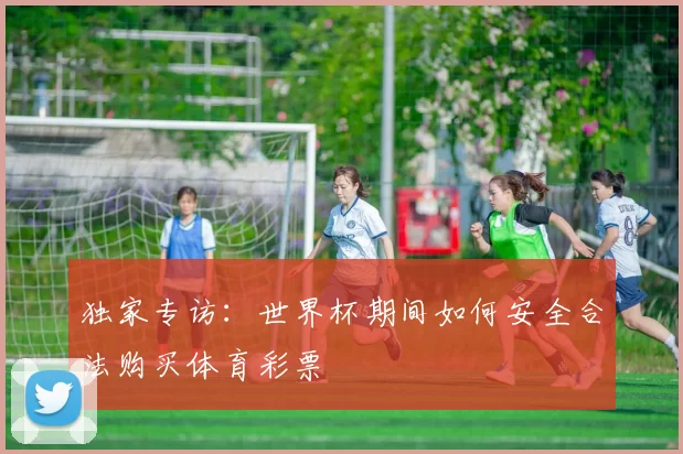 独家专访：世界杯期间如何安全合法购买体育彩票