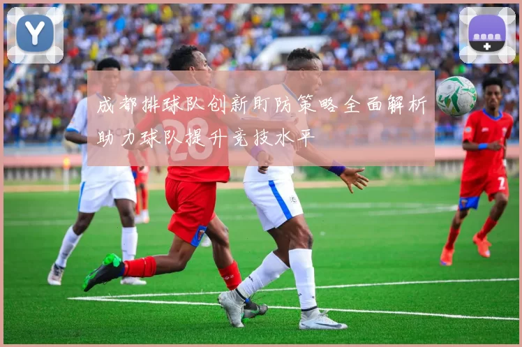成都排球队创新盯防策略全面解析助力球队提升竞技水平