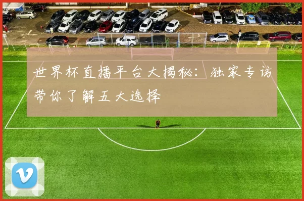 世界杯直播平台大揭秘:独家专访带你了解五大选择
