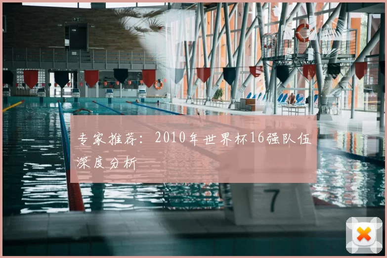 专家推荐：2010年世界杯16强队伍深度分析