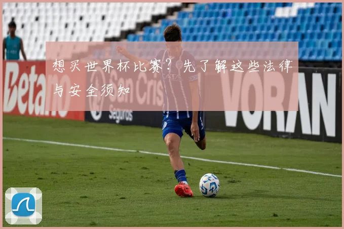 想买世界杯比赛?先了解这些法律与安全须知