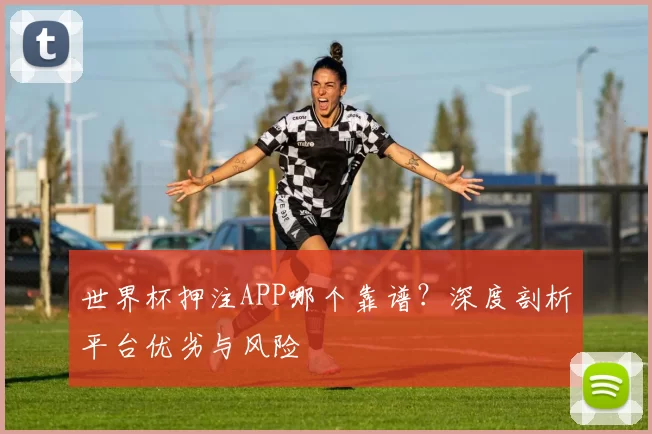世界杯押注APP哪个靠谱？深度剖析平台优劣与风险