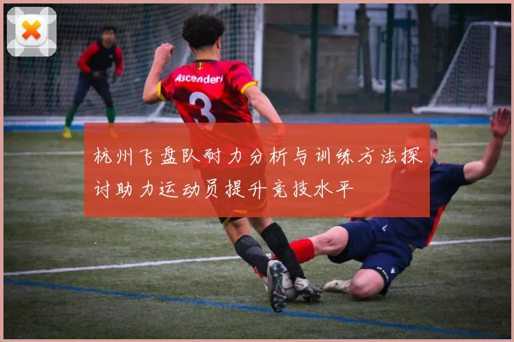 杭州飞盘队耐力分析与训练方法探讨助力运动员提升竞技水平