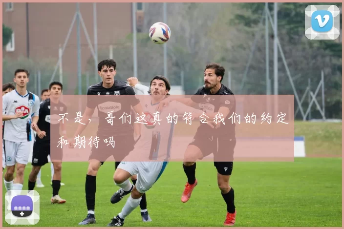 不是,哥们这真的符合我们的约定和期待吗