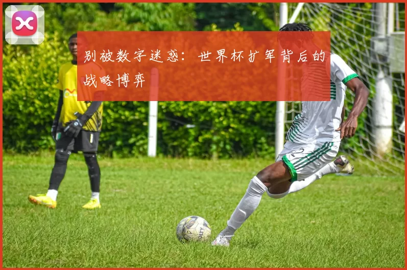 别被数字迷惑：世界杯扩军背后的战略博弈