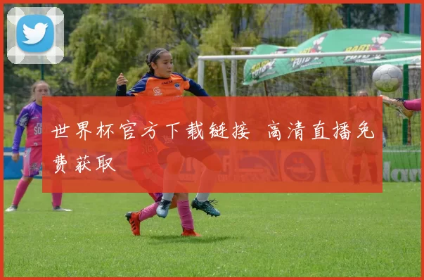 世界杯官方下载链接 高清直播免费获取