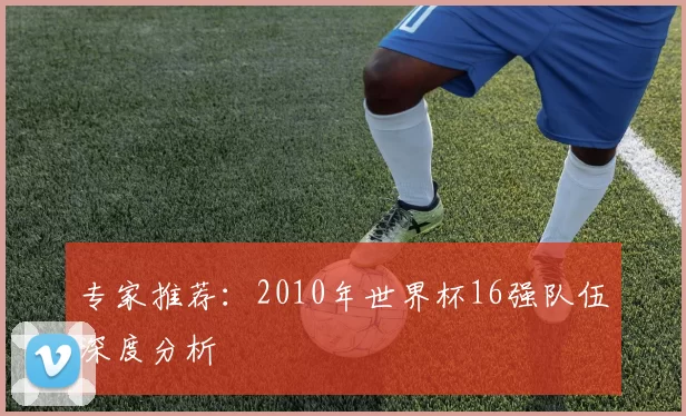 专家推荐：2010年世界杯16强队伍深度分析