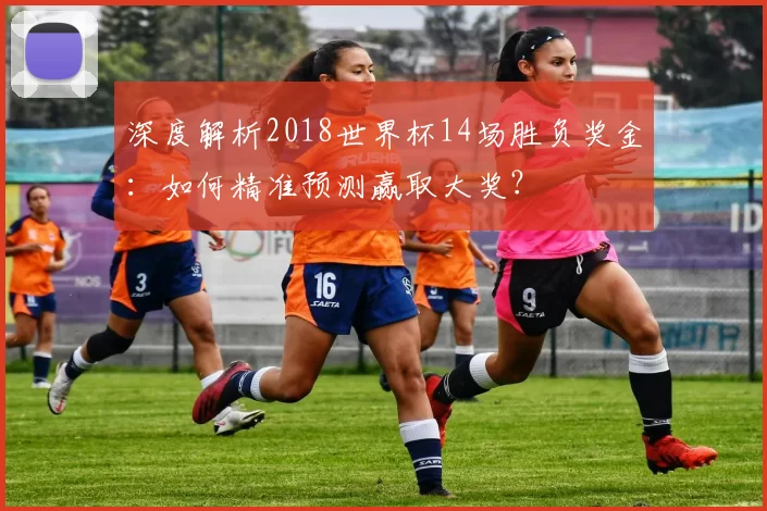 深度解析2018世界杯14场胜负奖金:如何精准预测赢取大奖?