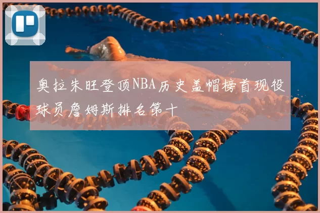 奥拉朱旺登顶NBA历史盖帽榜首现役球员詹姆斯排名第十
