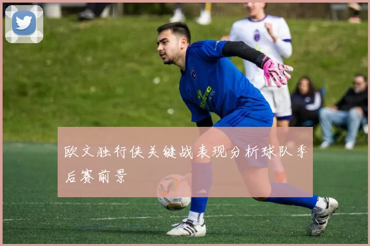 欧文独行侠关键战表现分析球队季后赛前景