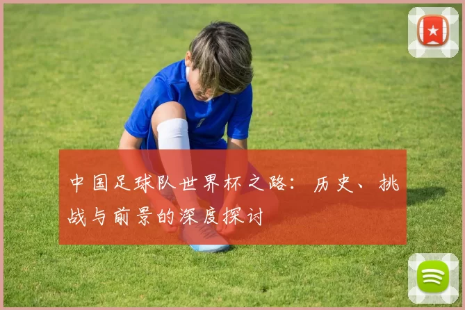 中国足球队世界杯之路:历史、挑战与前景的深度探讨